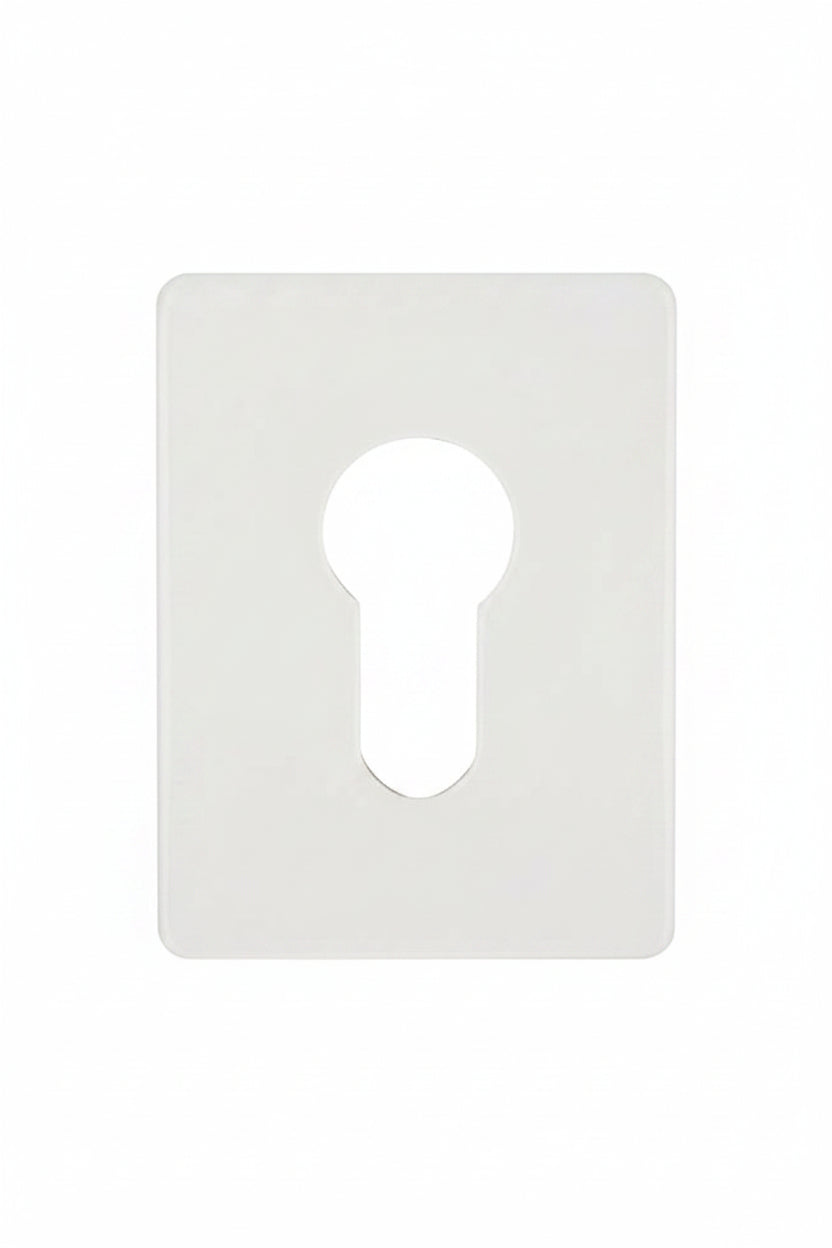 Stainless Steel Euro Jumbo Escutcheon 65X48MM
