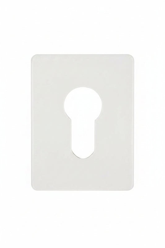 Stainless Steel Euro Jumbo Escutcheon 65X48MM