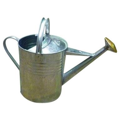 Galvanised Watering Can & Rose 2 Gallon